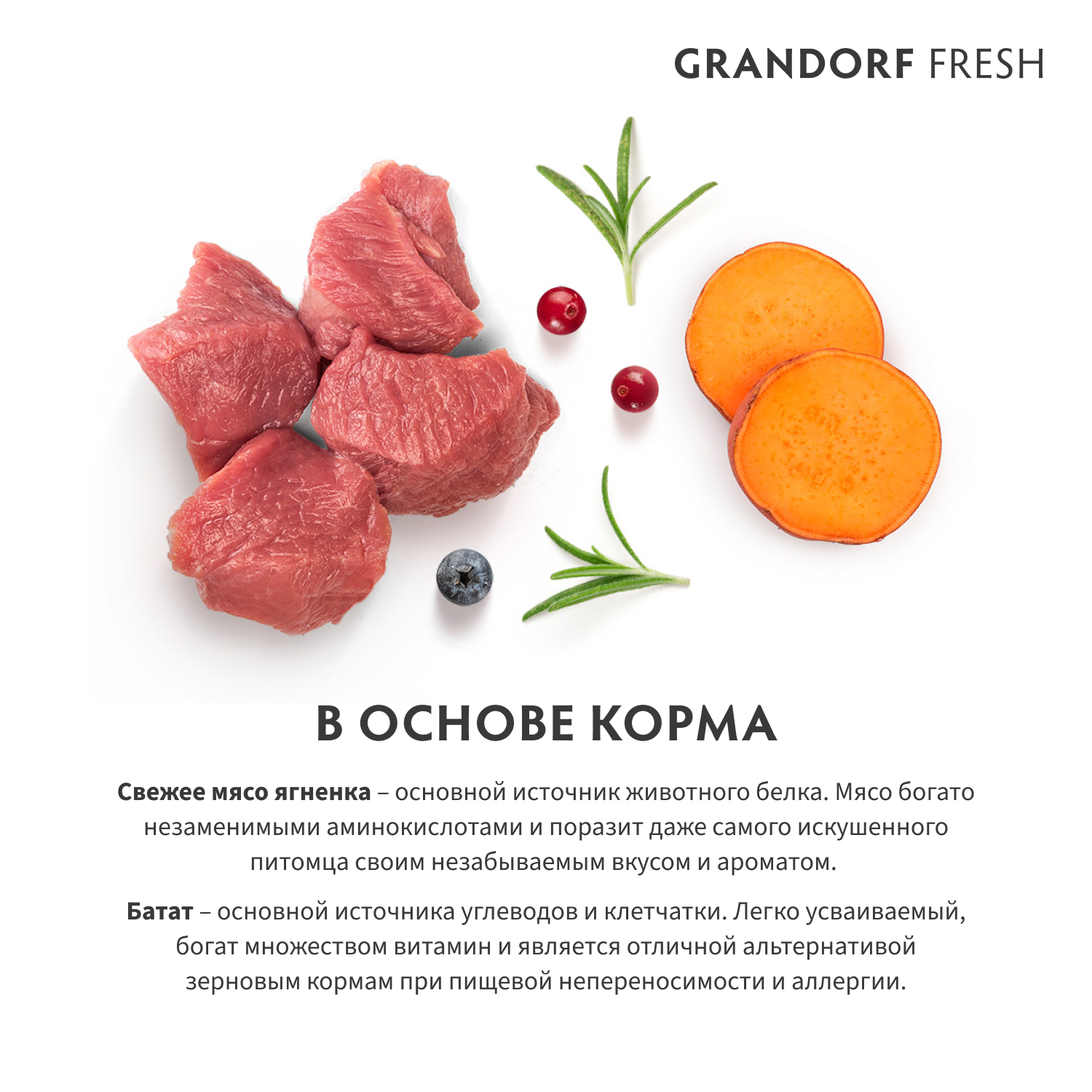 Grandorf Fresh Grandorf Сухой беззерновой корм для мелких собак с ягненком 3 кг 5407007852789