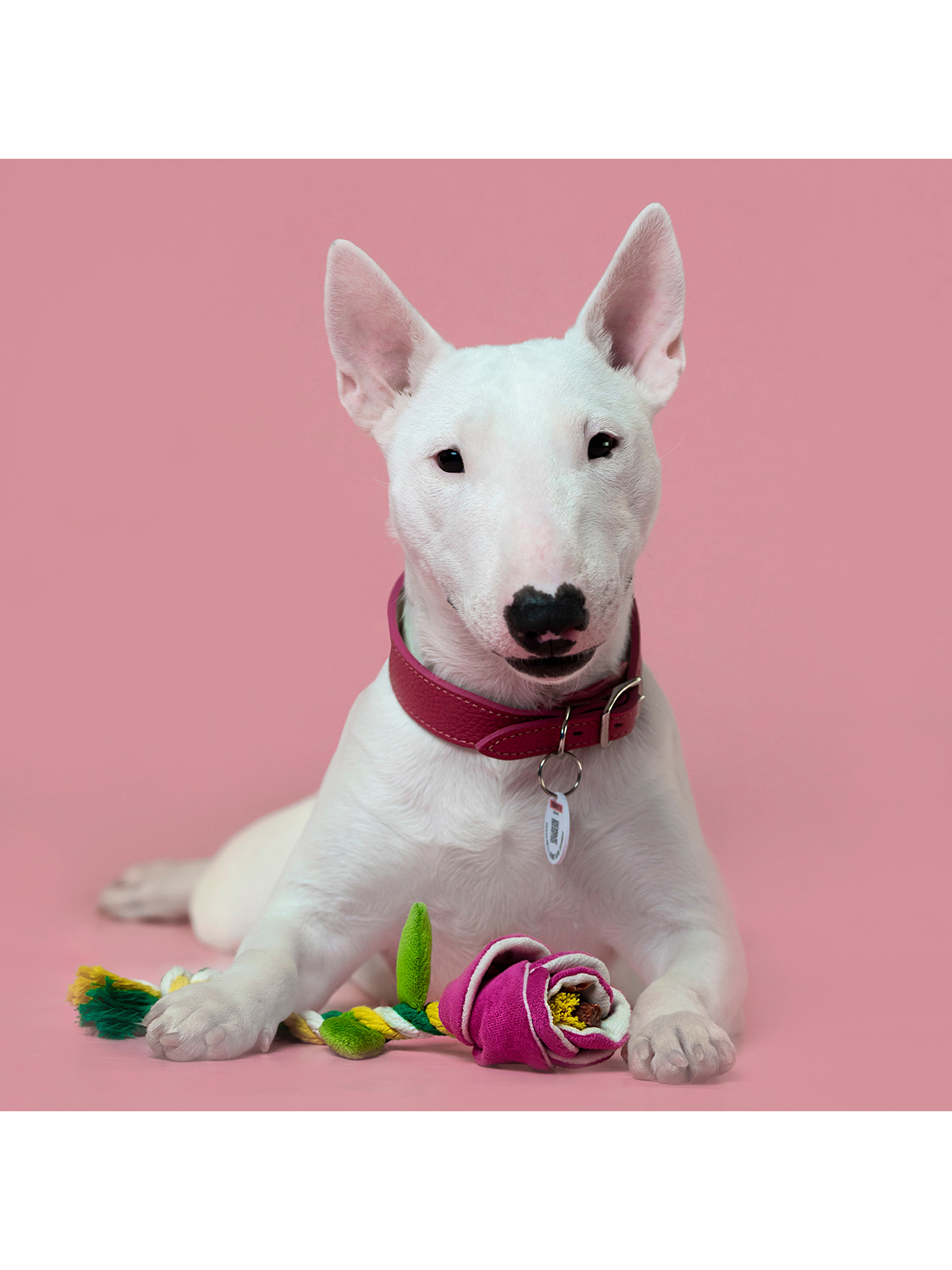 Игрушка Mr.Kranch для собак мелких и средних пород Роза с канатом 29х5х5см, розовая