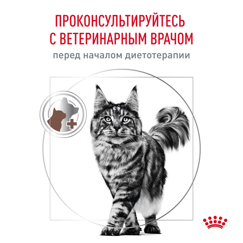 Royal canin Сухой корм для кошек Royal Canin Gastrointestinal Hairball, для профилактики образования волосяных комочков 350гр