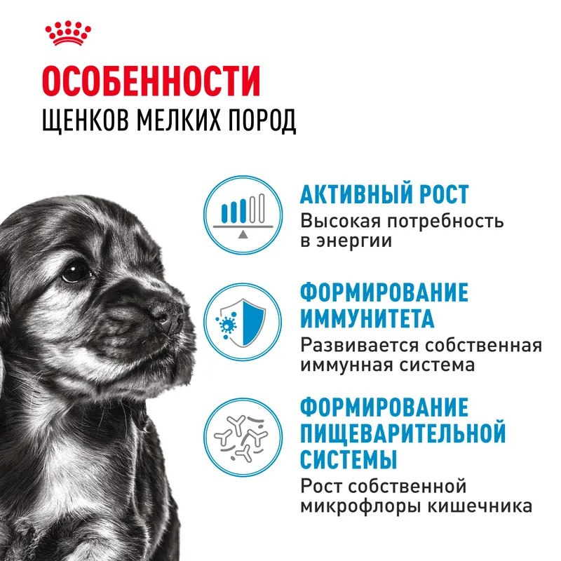 Влажный корм Royal Canin Mini Puppy для щенков мелких пород в возрасте до 10 месяцев, кусочки в соусе 85гр