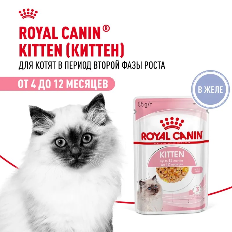 ROYAL CANIN Kitten Корм для котят до 12 месяцев, в желе, 1шт-85гр 4627150233889