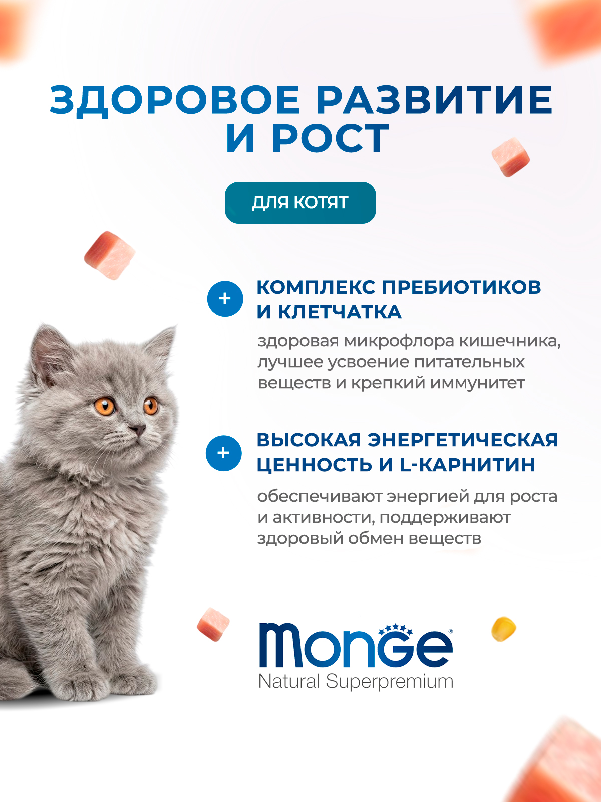 Сухой корм Monge Cat Daily Line для котят и беременных кошек, из курицы 400 г