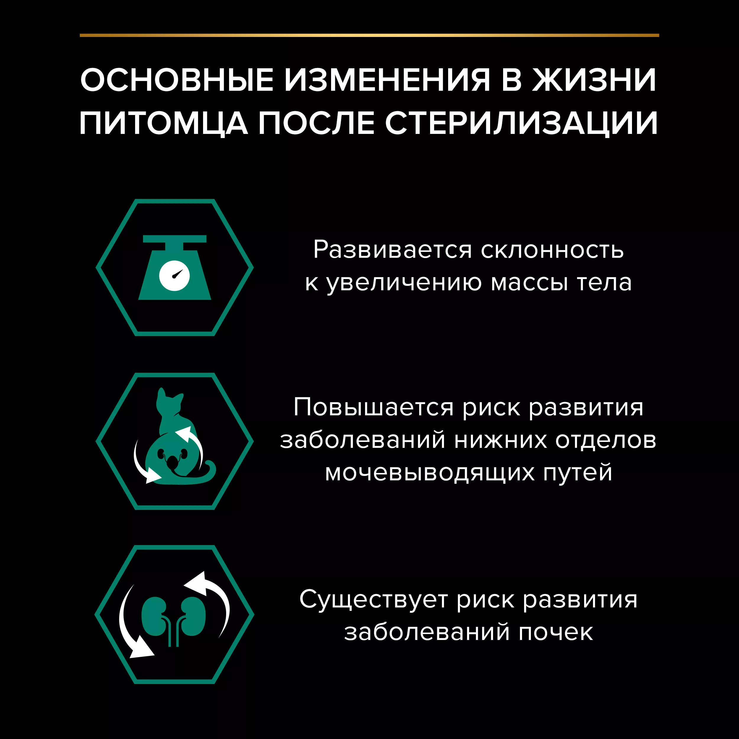 PROPLAN STERILISED Влажный корм для стерилизованных кошек, с кроликом в соусе, 85г