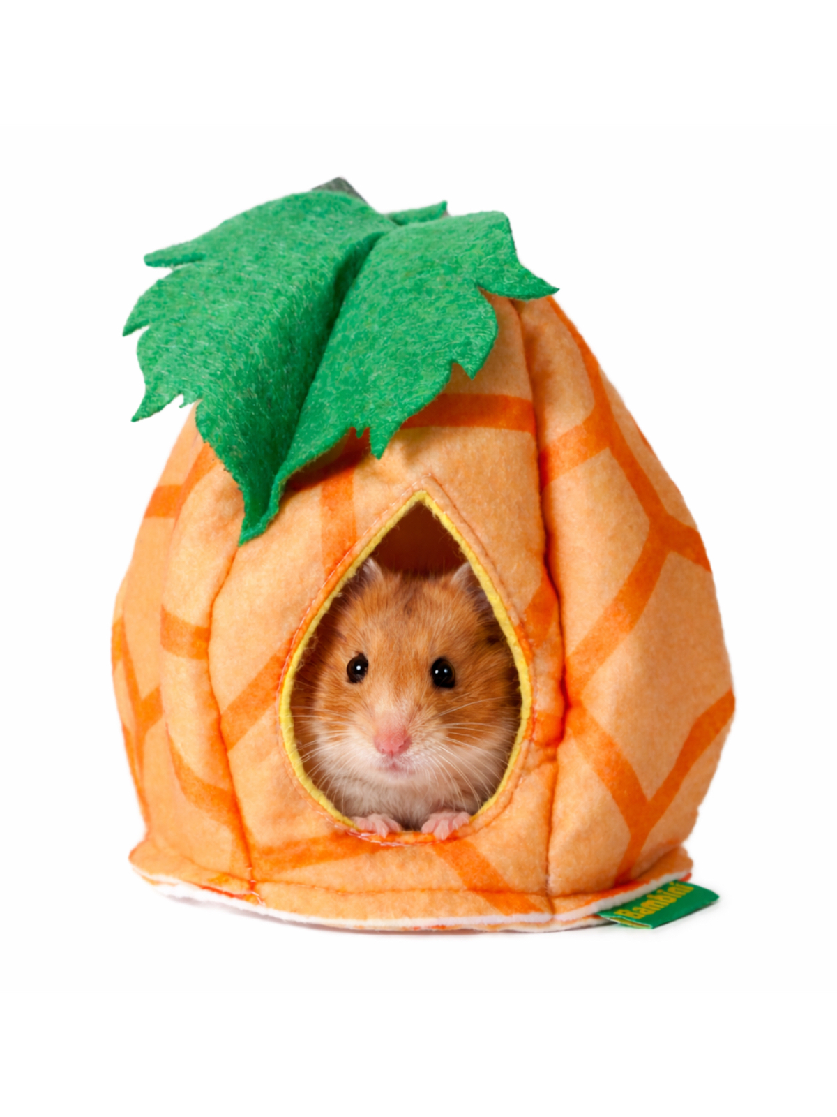 Домик из фетра Bambini Pets "Тыковка" для грызунов и хорьков 18*18*15 см