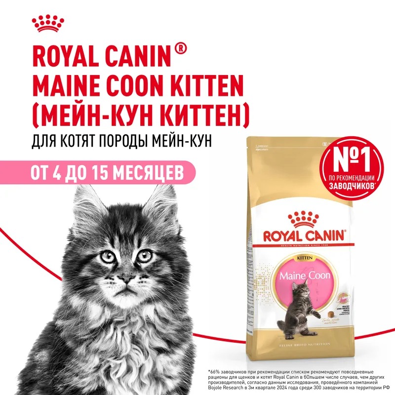 ROYAL CANIN Maine Coon Сухой корм для котят породы Мэйн Кун 400 гр 4627109383269