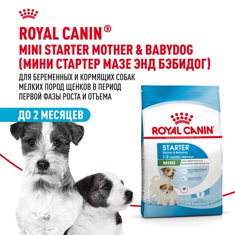 ROYAL CANIN Mini Starter Корм для щенков мелких пород до 2 месяцев 1 кг 4627109384440