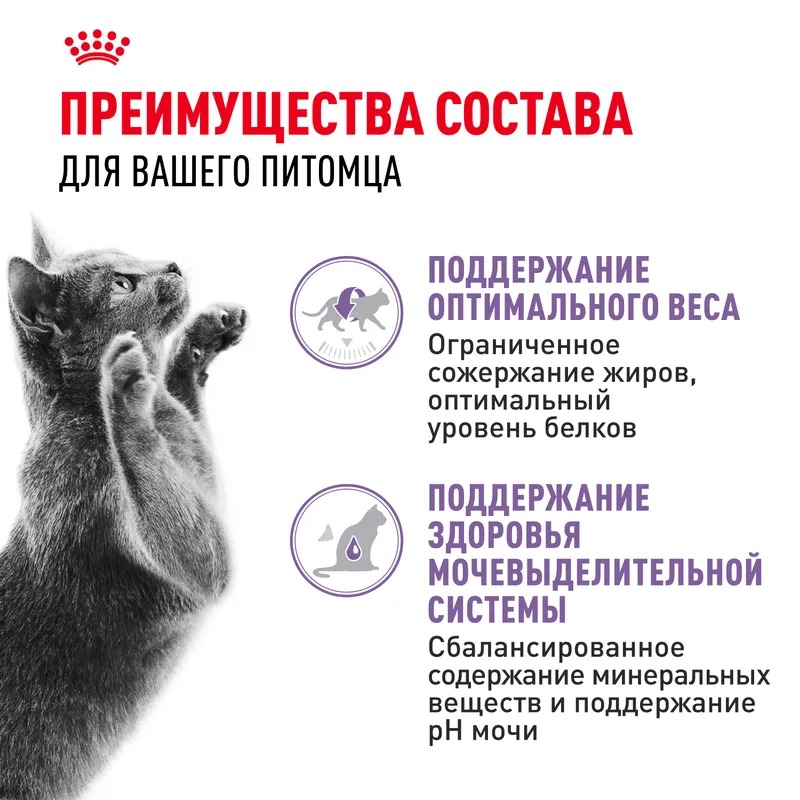 ROYAL CANIN Корм в желе для стерилизованных кошек 1шт-85гр