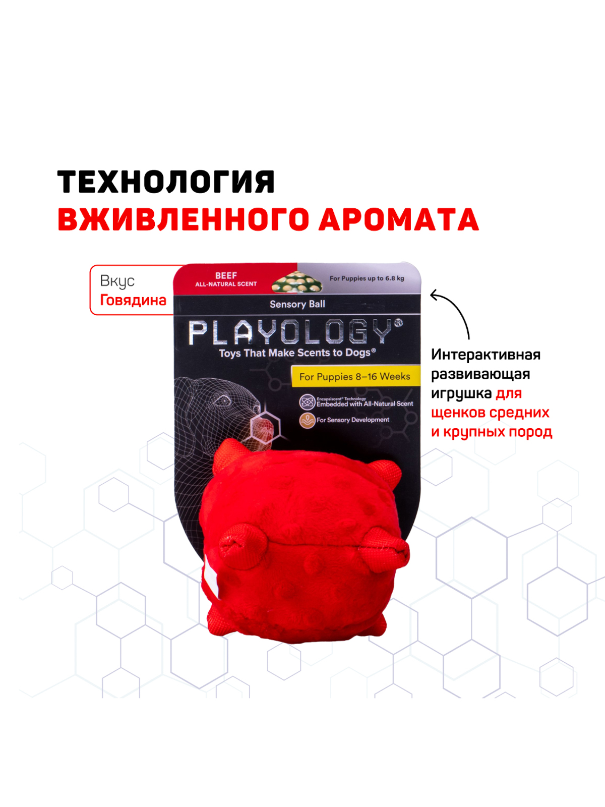 Сенсорный плюшевый мяч Playology PUPPY SENSORY BALL 11 см для щенков мелких и средних пород 8-16 недель с ароматом говядины, цвет красный