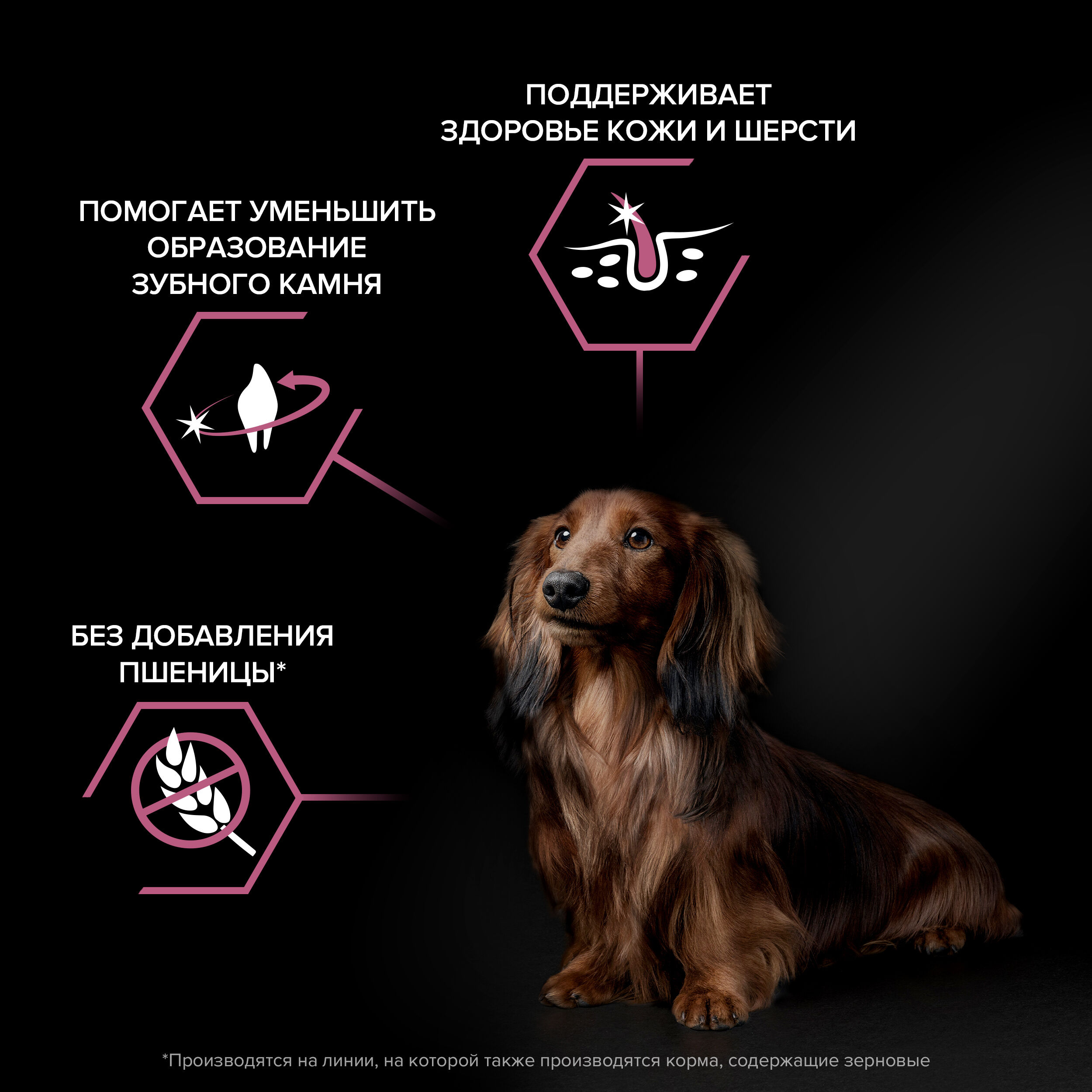 Сухой корм для собак PRO PLAN при чувствительной коже для мелких пород с лососем, 7кг
