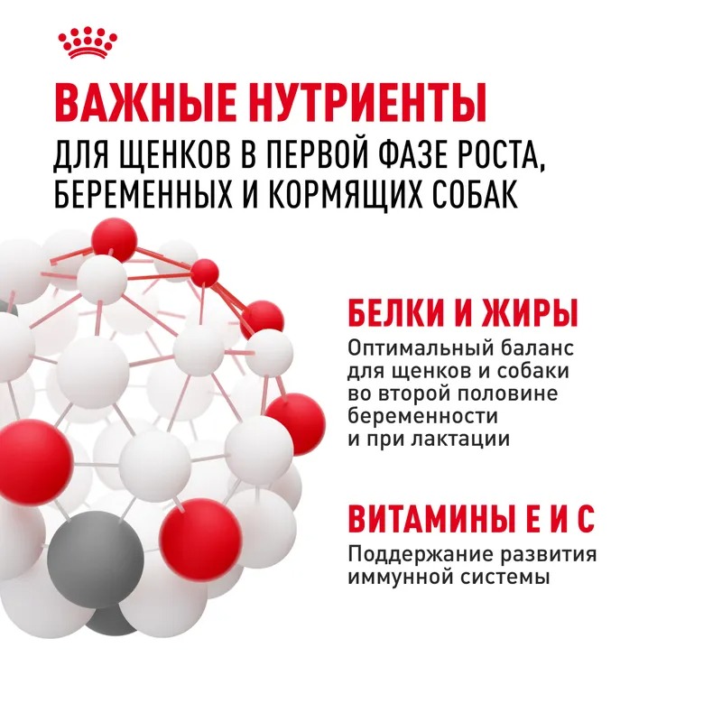 ROYAL CANIN Mini Starter Корм для щенков мелких пород до 2 месяцев 1 кг 4627109384440