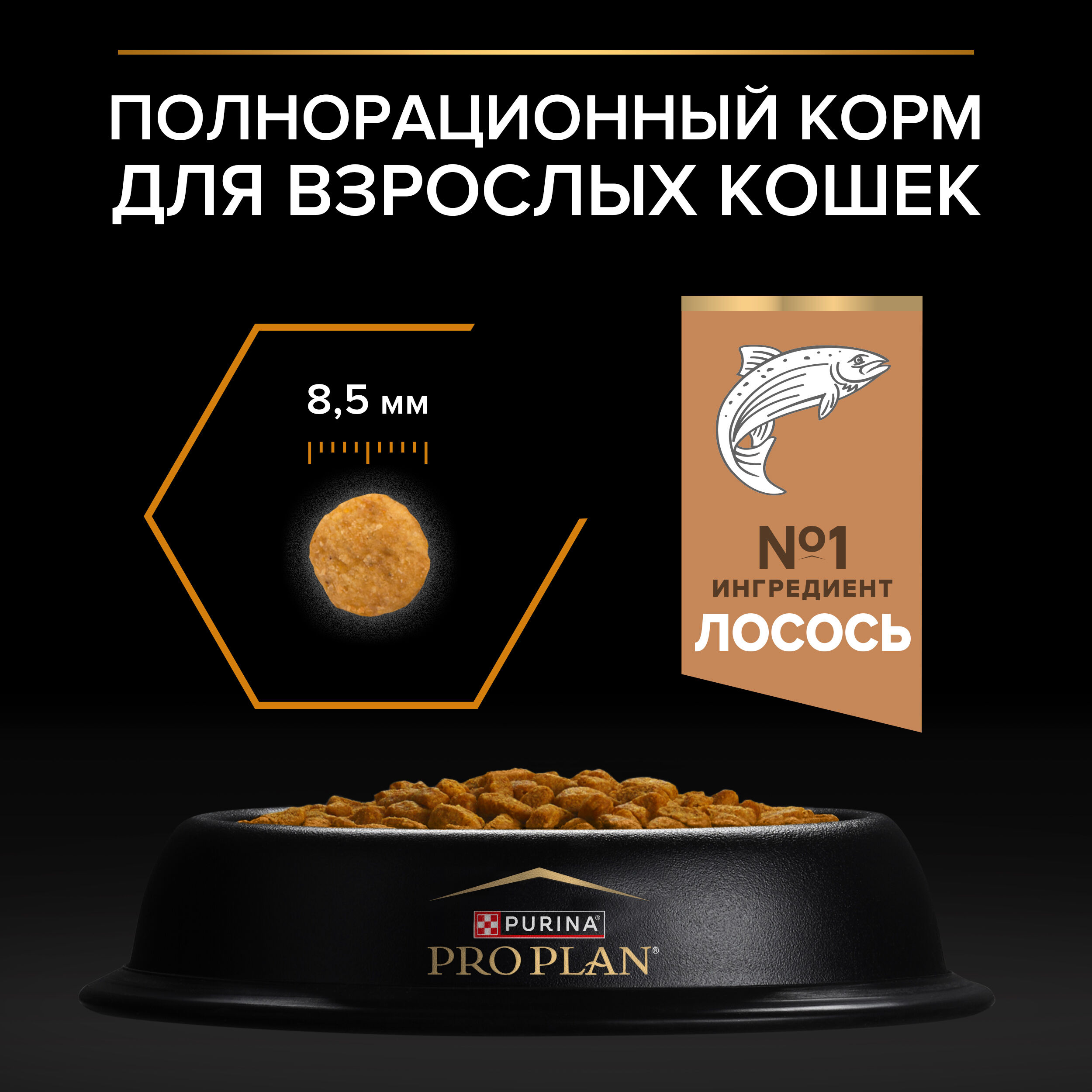 Сухой корм PRO PLAN DERMA CARE для кошек для здоровья кожи и красоты шерсти с лососем, 10 кг