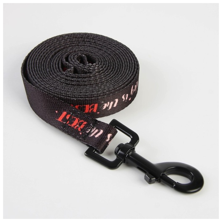 Поводок My dog is the best, 2 см (3 м)