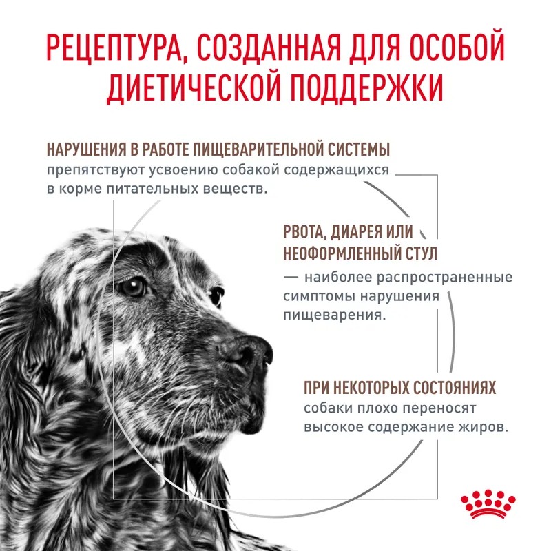 ROYAL CANIN Gastrointestinal Low Fat корм для собак 1,5 кг 4627109385461