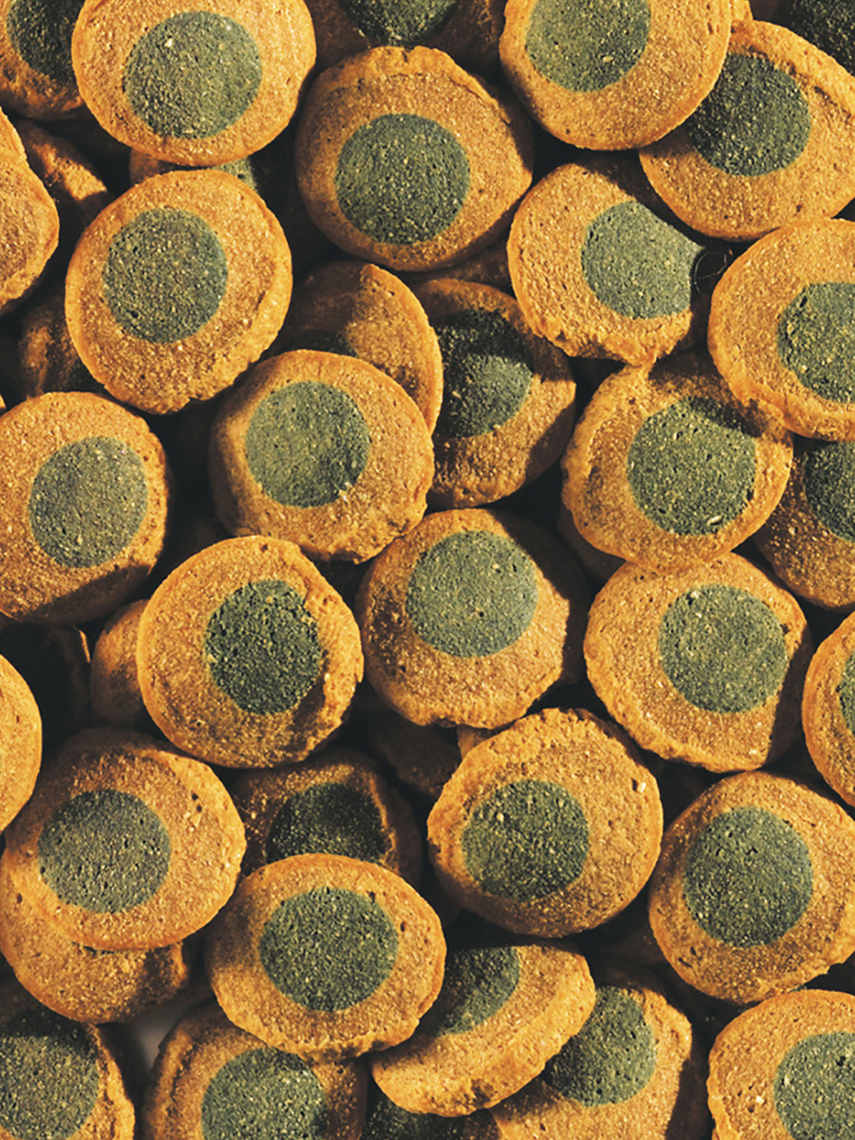 TetraPleco Spirulina Wafers корм для сомов крупные чипсы 3,6 л