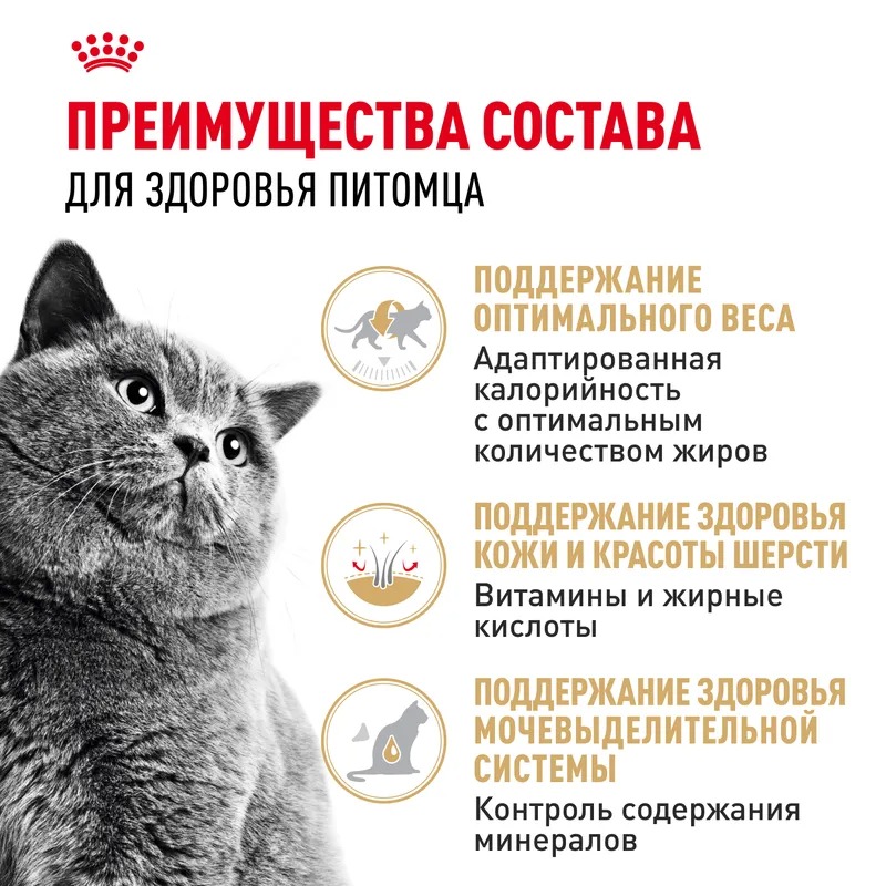 ROYAL CANIN Влажный Корм для британских кошек 1шт-85гр 4627180240284