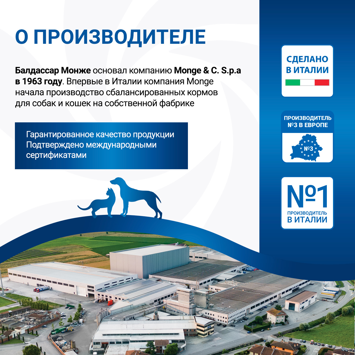 Диетический корм Monge VetSolution Cat Gastrointestinal гастро интестинал для кошек при заболеваниях ЖКТ 100 г