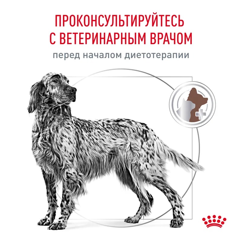 ROYAL CANIN Gastrointestinal корм для собак нарушение пищеварения 2 кг 4627109385294