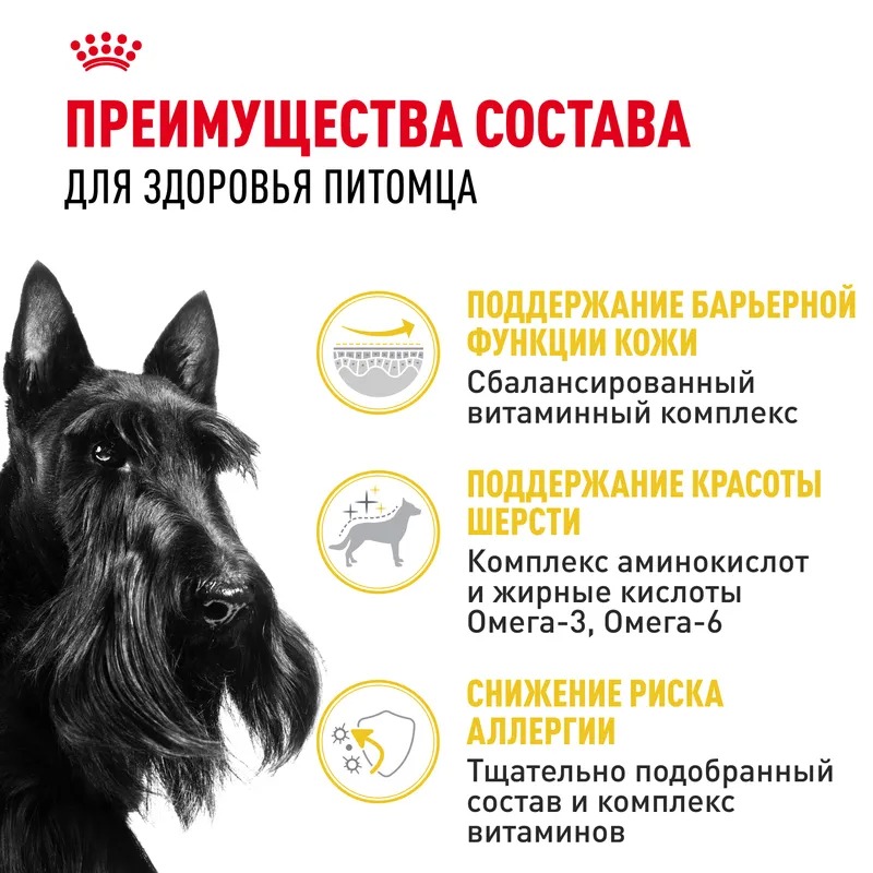 ROYAL CANIN Derma Корм для мелких собак при раздражениях и зуде кожи 3кг 4627150231519