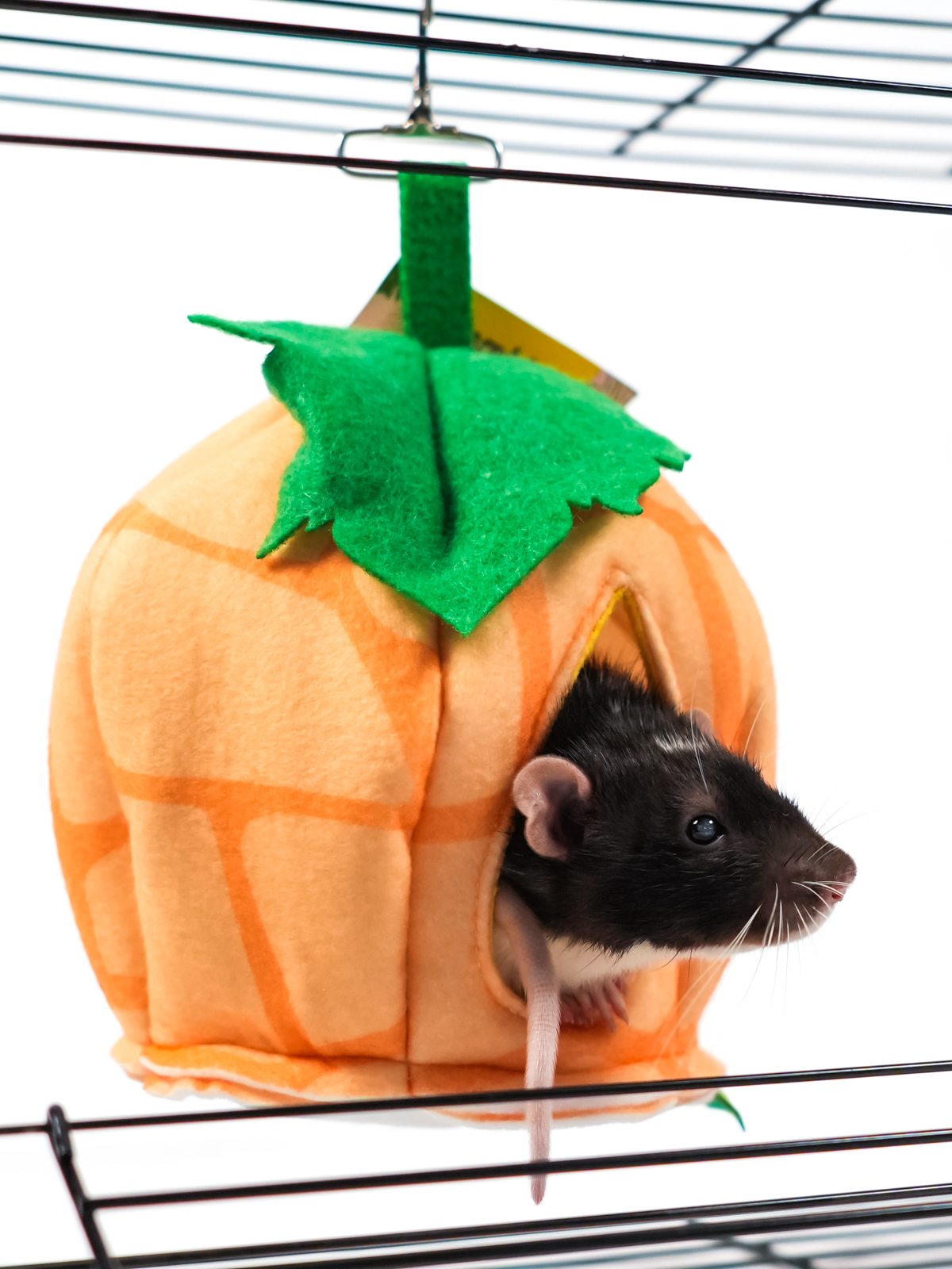 Bambini Pets  Домик из фетра "Тыковка" для грызунов и хорьков 18*18*15 см