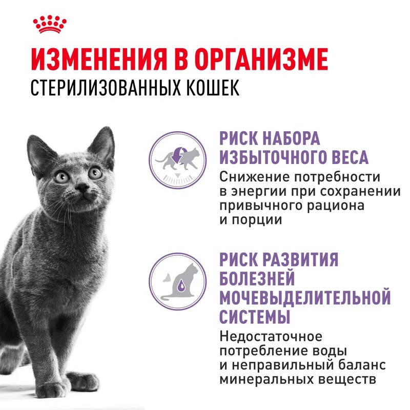 ROYAL CANIN Влажный корм для стерилизованных кошек, в соусе, 1шт-85гр 9003579311301