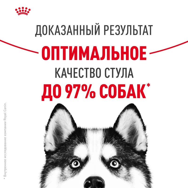Royal Canin Maxi Digestive Сухой корм для собак крупных пород с чувствительным пищеварением  12 кг