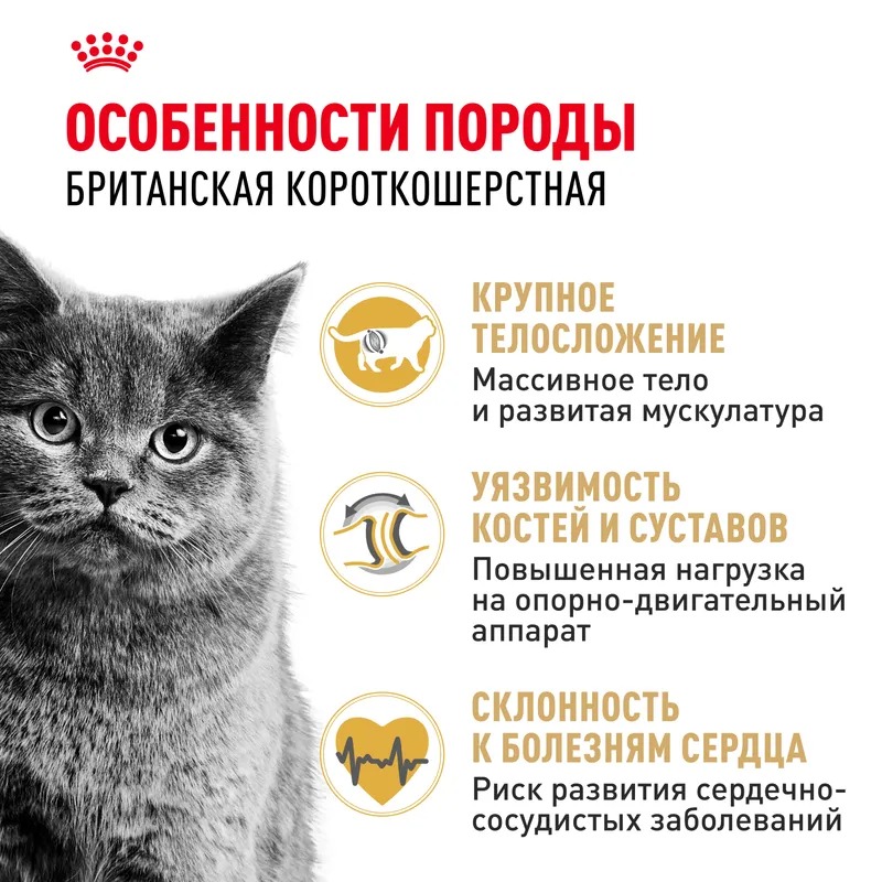 ROYAL CANIN British Adult корм для Британских кошек 2 кг 4627109382484