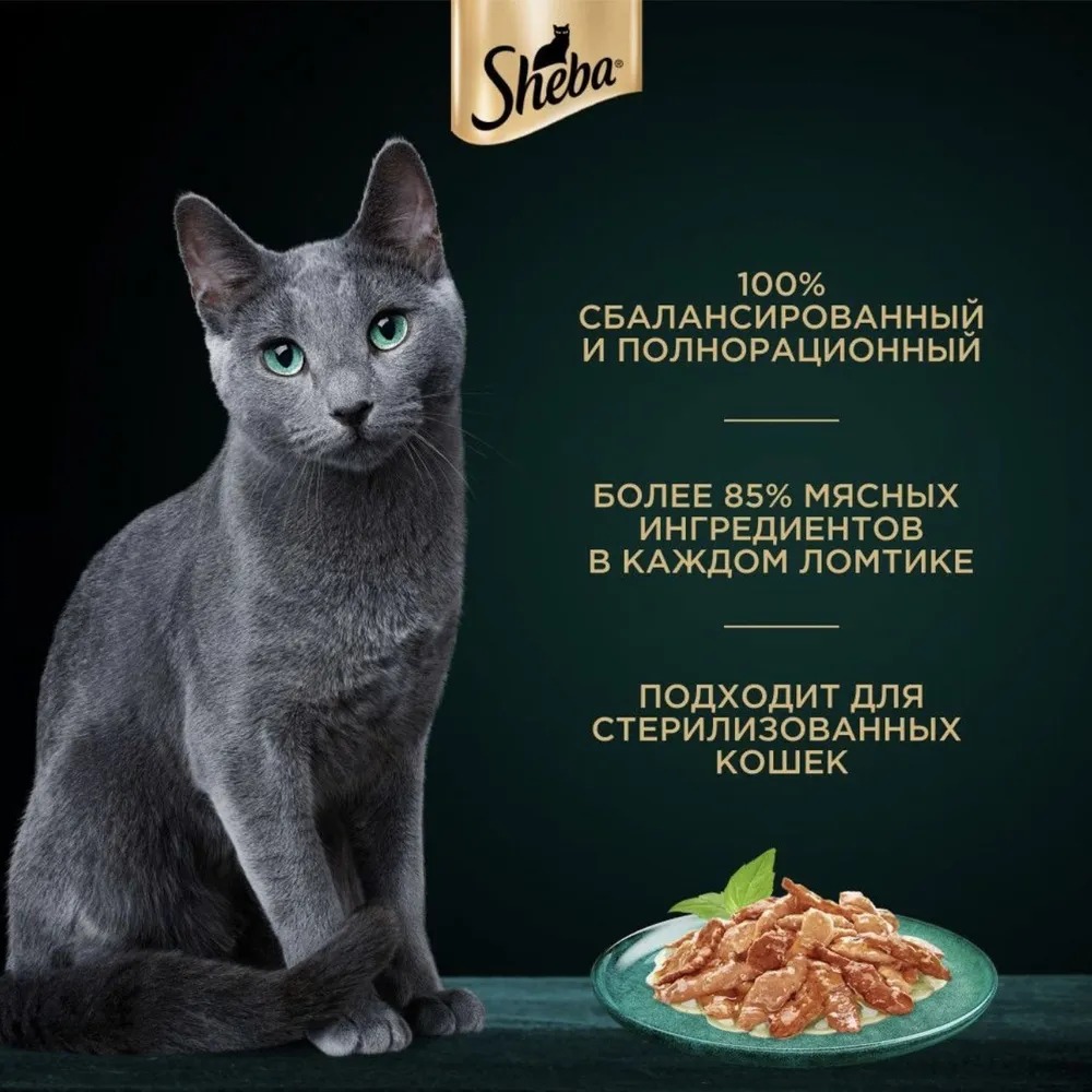 Sheba Влажный корм для кошек, курица в желе, 75гр