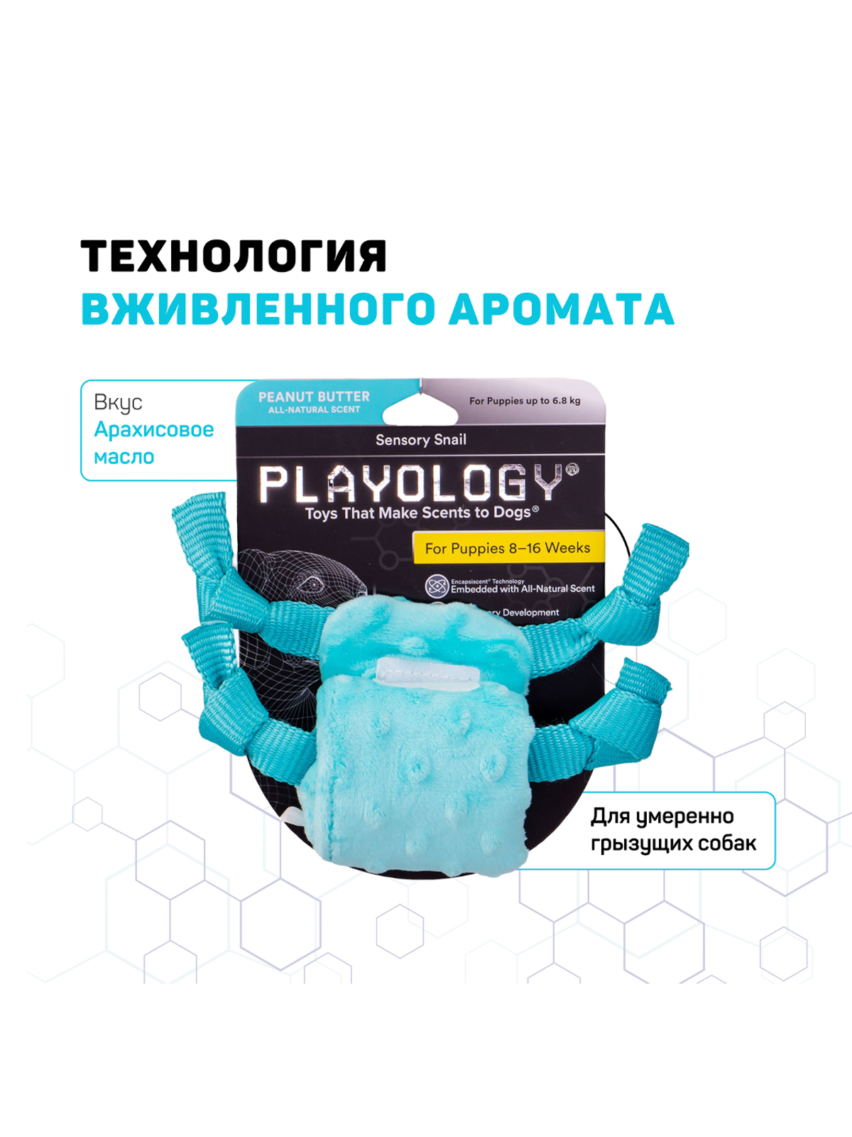 Playology сенсорная плюшевая улитка PUPPY SENSORY SNAIL для щенков мелких и средних пород 8-16 недель с ароматом арахиса, цвет голубой