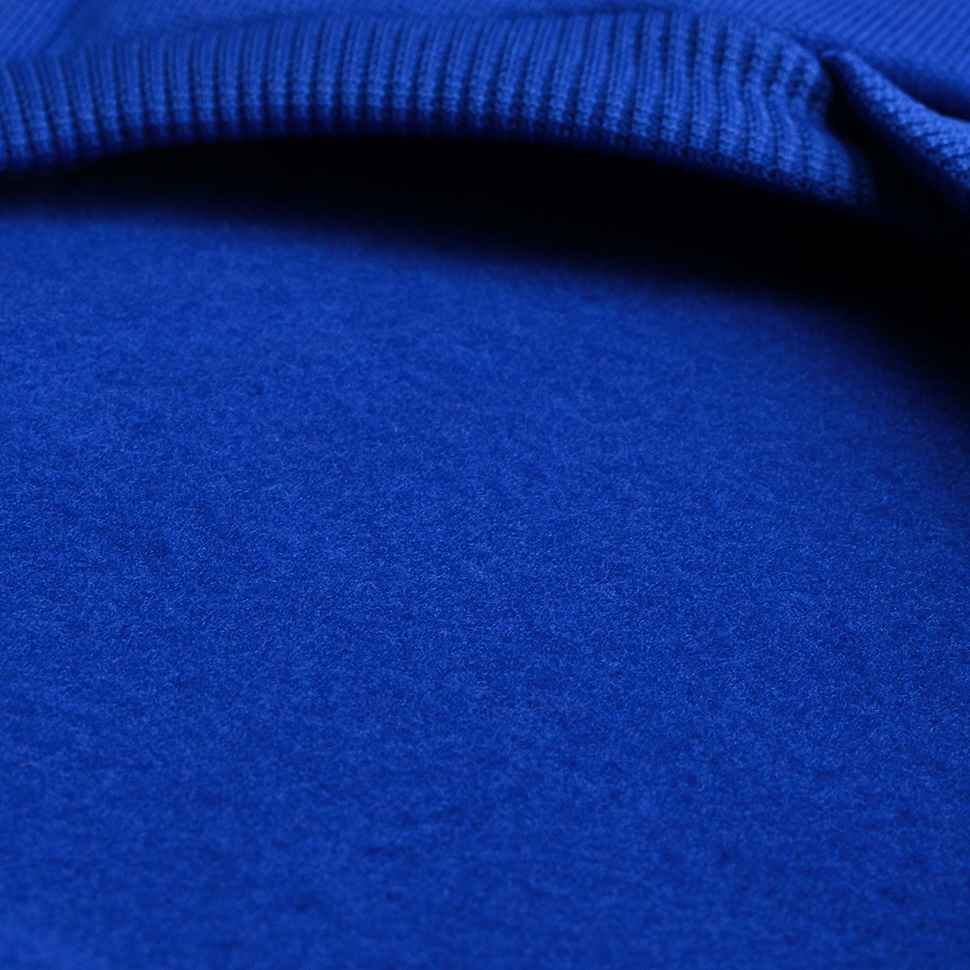 Худи для собак LionPets LPH-52 (Синий) (Размер XS (спинка 16 см))