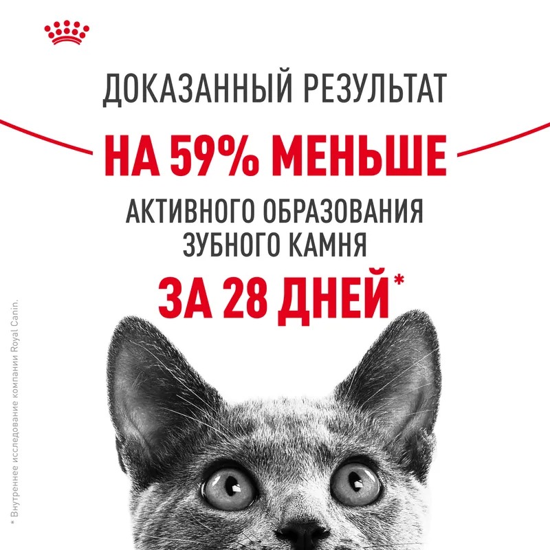 Royal Canin  Dental Care,  Сухой корм для кошек Дентал Кэа , уход за полостью рта 1,5 кг