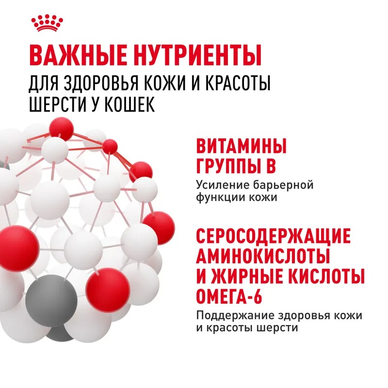 ROYAL CANIN Паучи для кошек "Royal Canin Hair&Skin" (Роял Канин) здоровье кожи и шерсти в желе 1шт-85гр 4627180245166
