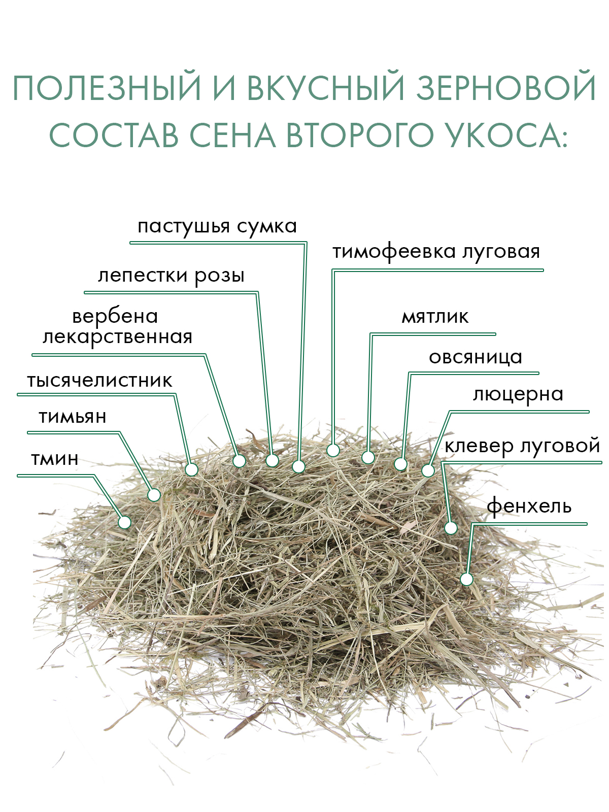 Сено Fiory Evergreen 1 кг (30 л)