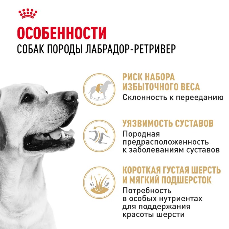 ROYAL CANIN Labrador Retriever сухой корм для собак породы Лабрадор 12кг
