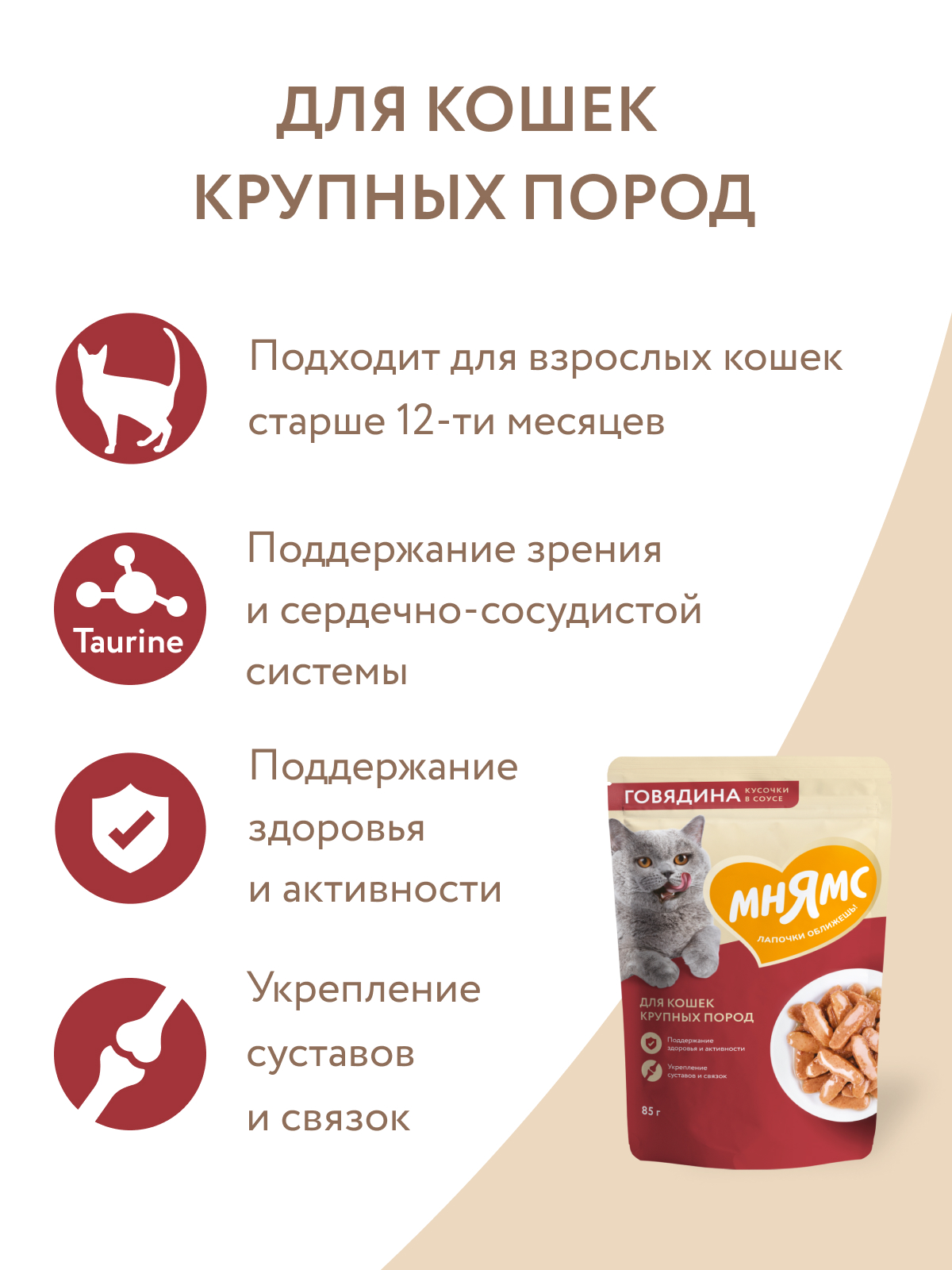 Мнямс Влажный корм для крупных кошек кусочки, в соусе с говядиной, 85 г