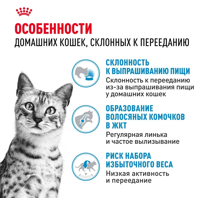 Royal Canin Indoor Appetite Control, Сухой корм для кошек склонных к перееданию 2 кг