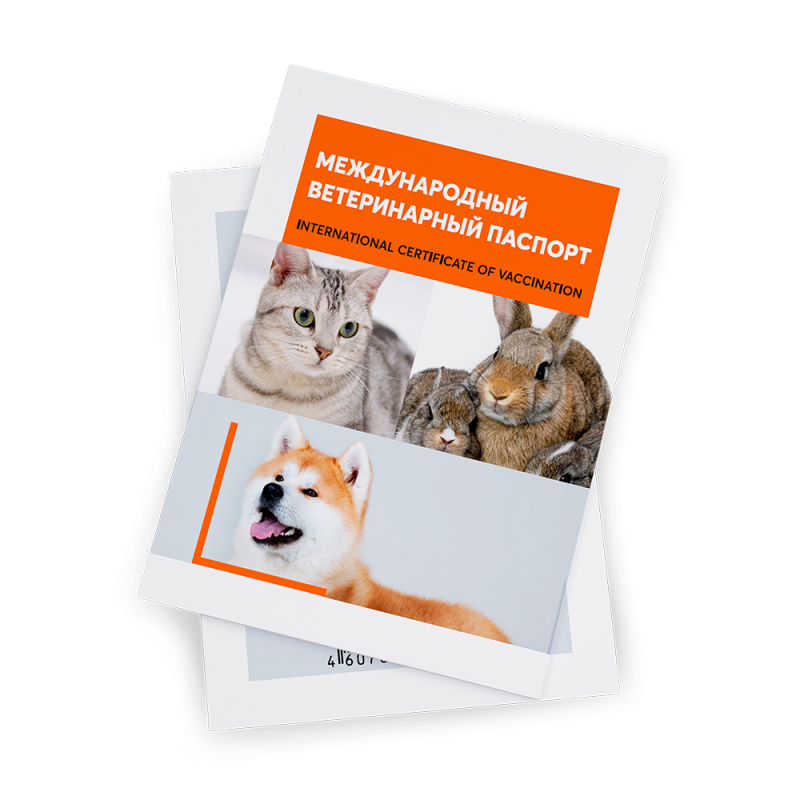 Ветеринарный паспорт для животных (бланк универсальный)