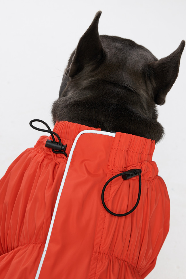 Дождевик LionPets Мопс LPK9325-29 на девочку Цвет: Оранжевый