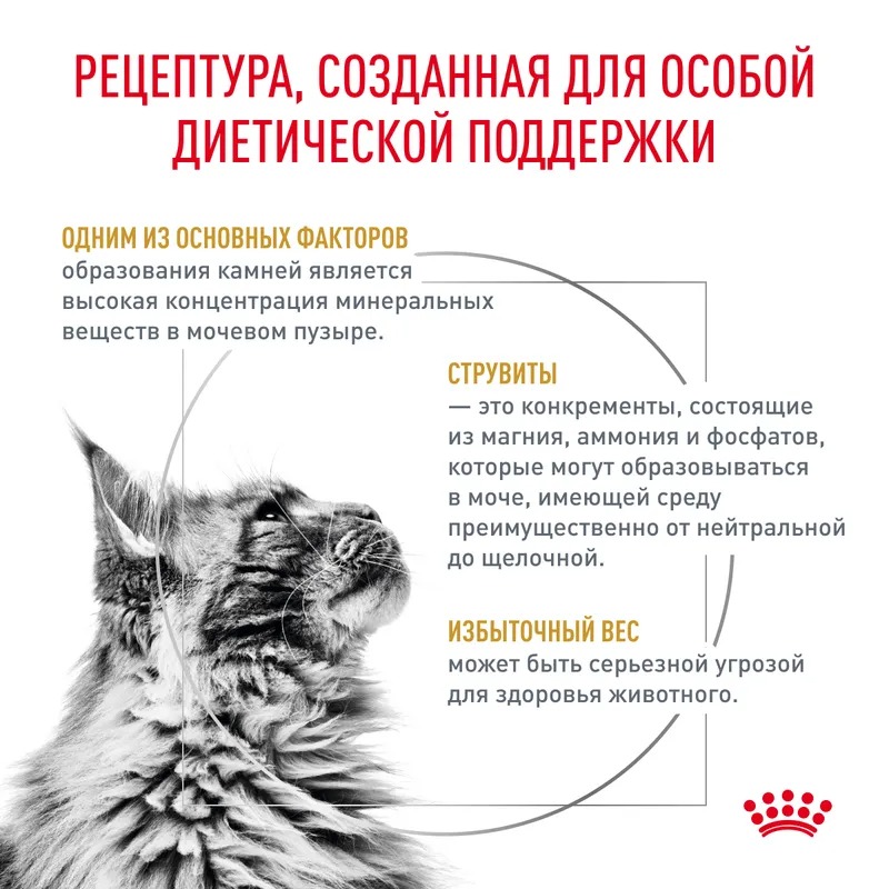 ROYAL CANIN Urinary Moderate Calorie Корм для кошек при МКБ 350 гр 4607134960635