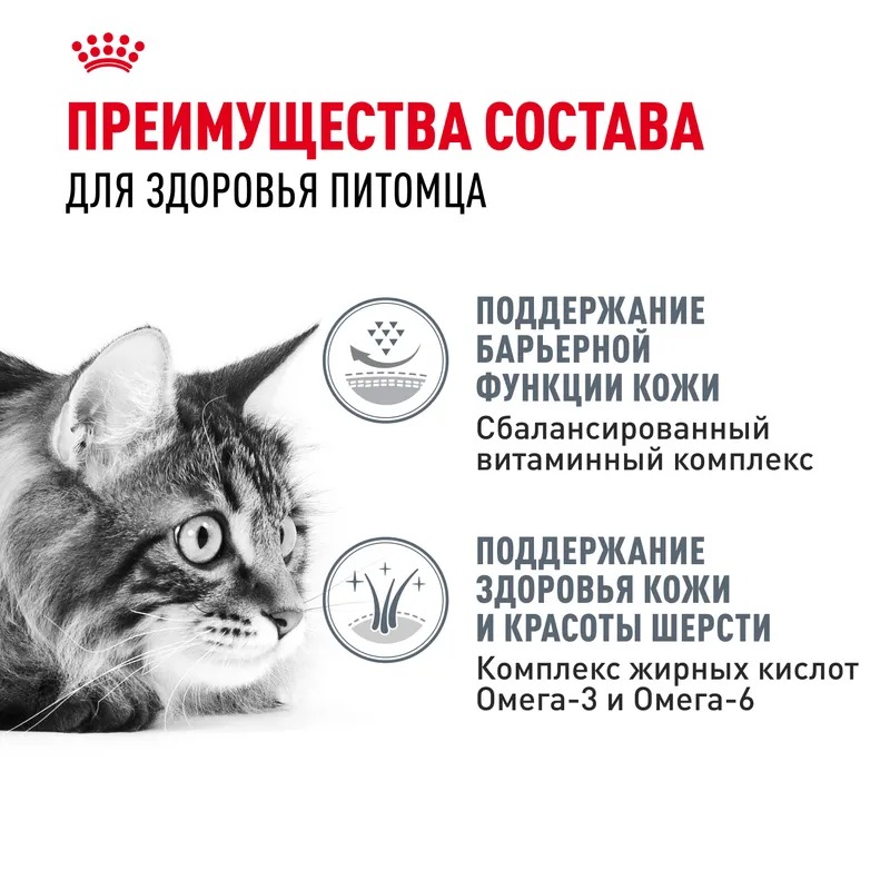 ROYAL CANIN Hair Сухой корм для кошек здоровая кожа и блеск шерсти 2 кг 4627166867917