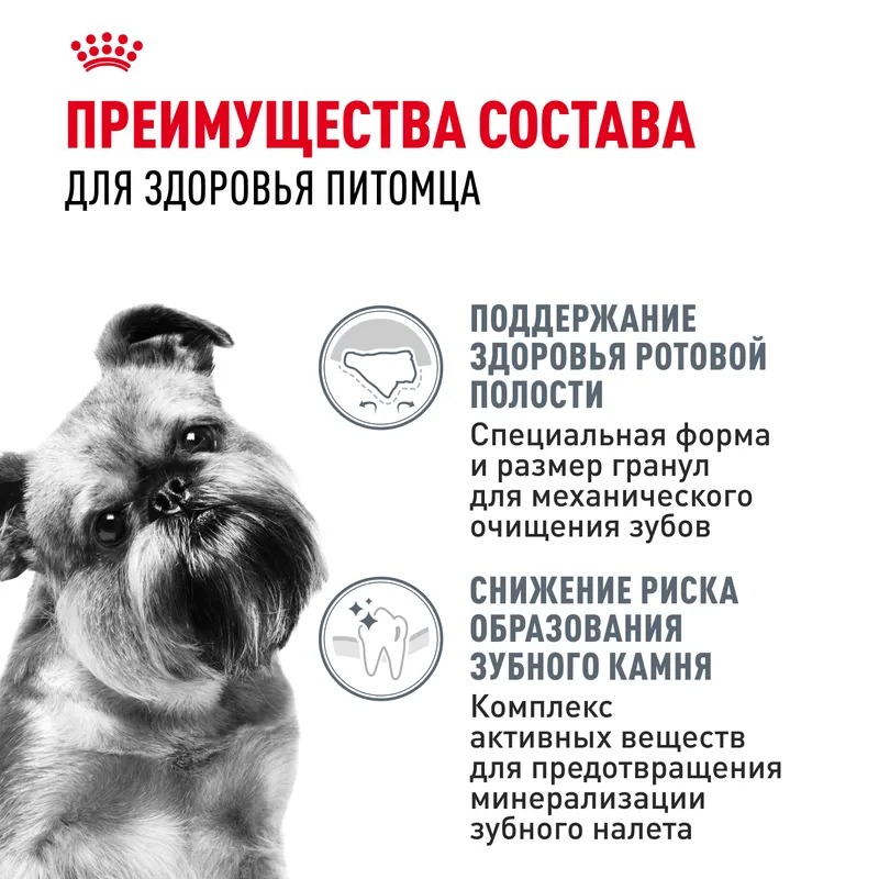 Royal Canin Сухой корм для собак  Mini Dental Care, повышенная чувствительность зубов 3 кг
