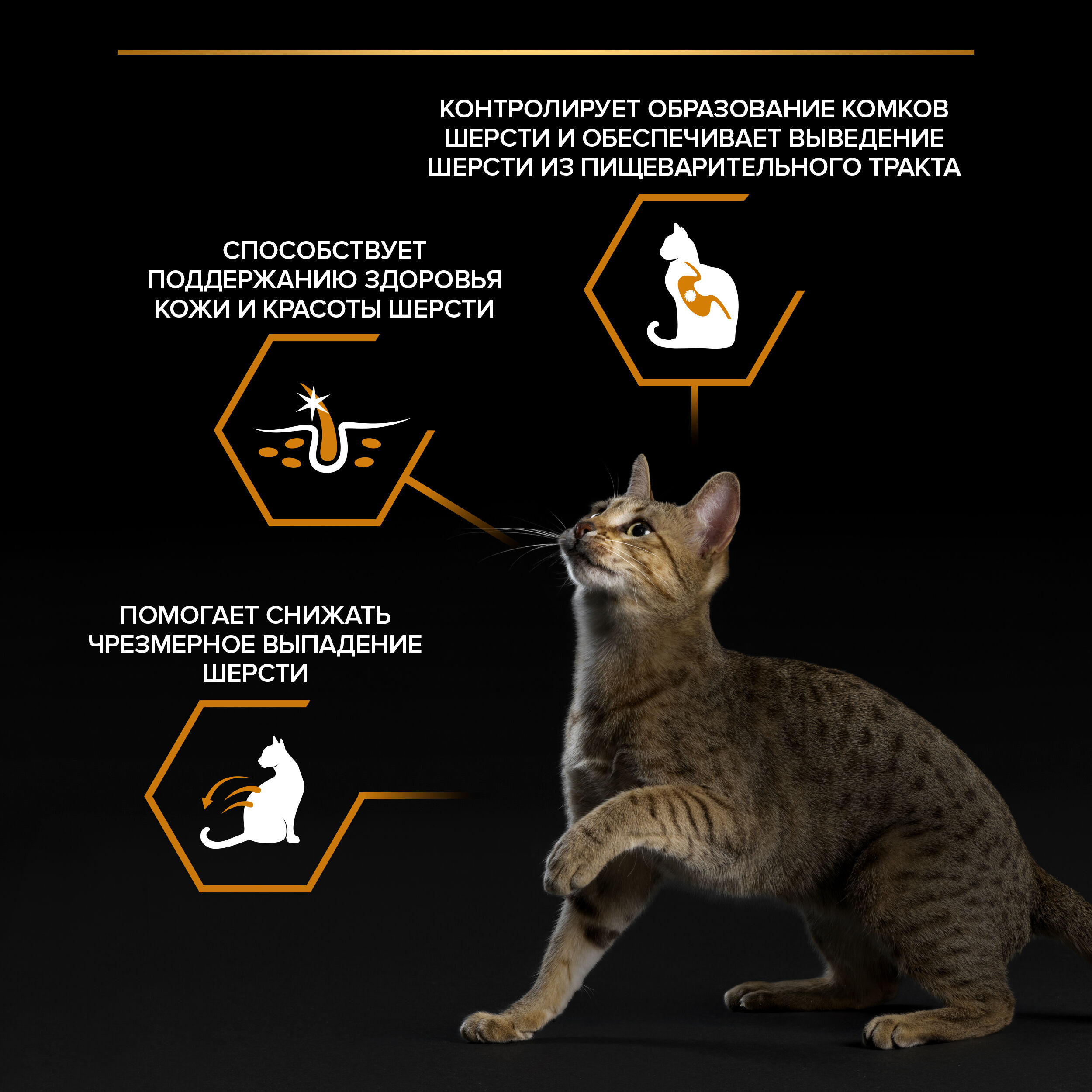 PROPLAN DERMA CARE Влажный корм для кошек для здоровья кожи и красоты шерсти, с треской в соусе, 85г 7613036147262