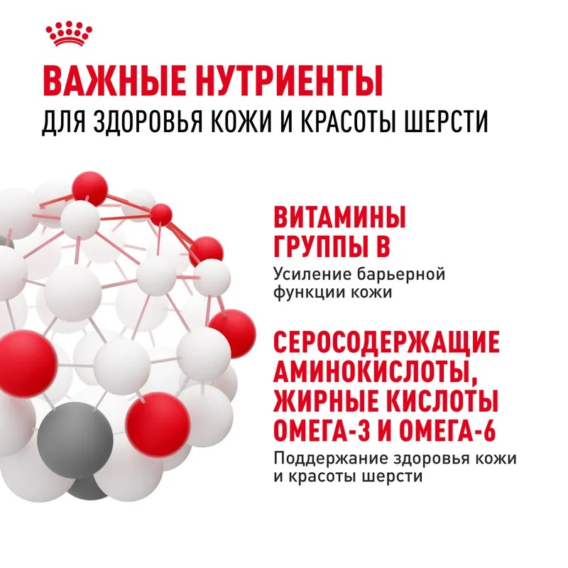 ROYAL CANIN Hair Сухой корм для кошек здоровая кожа и блеск шерсти 10 кг 4627166867931