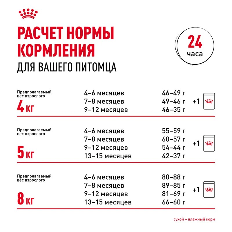 ROYAL CANIN Maine Coon Сухой корм для котят породы Мэйн Кун 400 гр 4627109383269