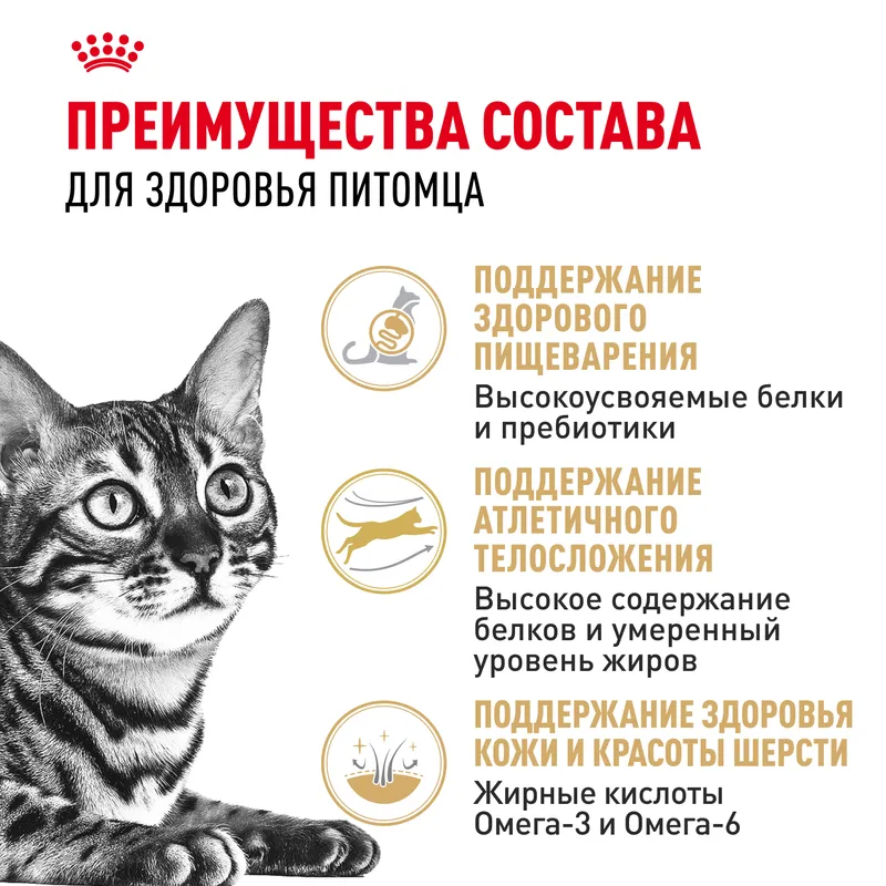 Royal Canin Royal Сanin Bengal Adult сухой корм для взрослых бенгальских кошек старше 12 месяцев 400гр
