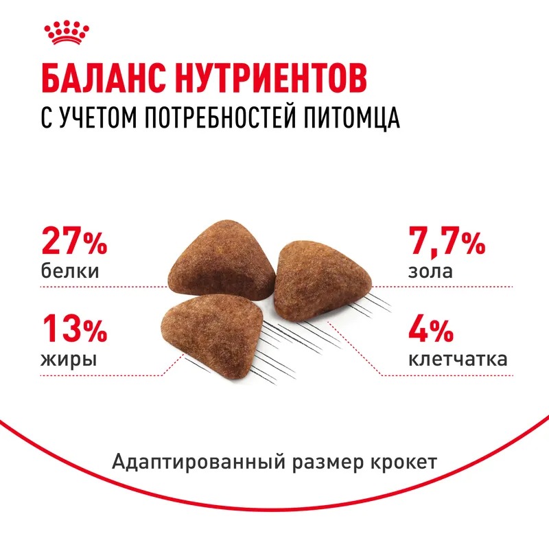 ROYAL CANIN корм для взрослых кошек живущих в помещении 2кг 4627109380466