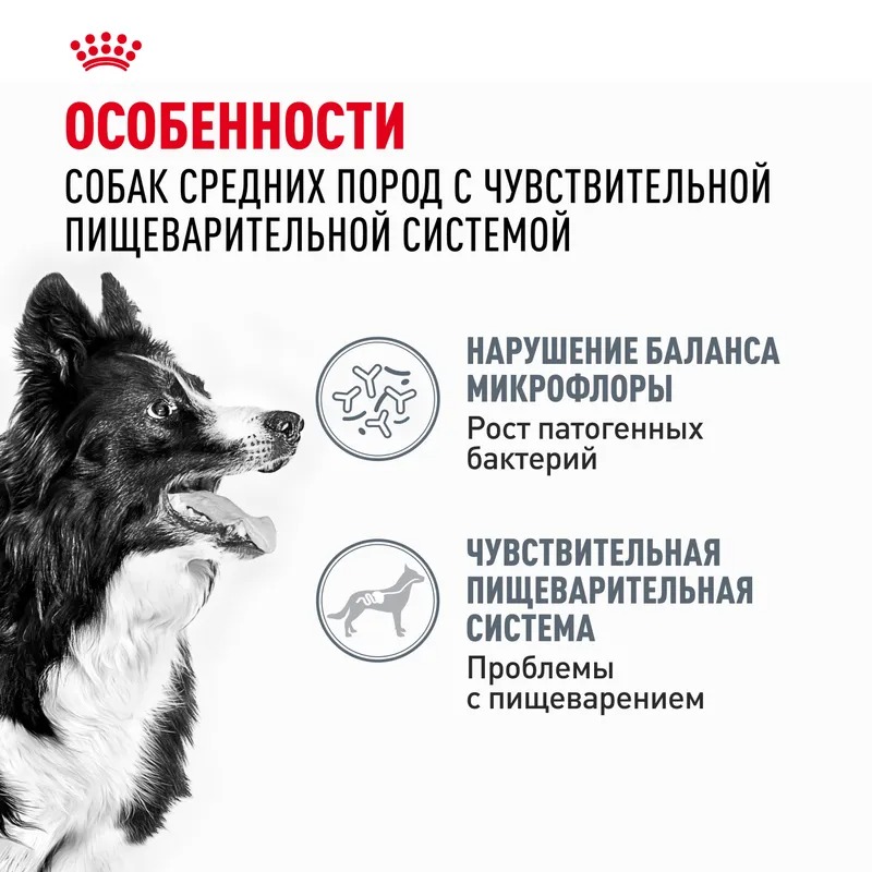 Royal Canin Сухой корм для собак  Medium Digestive Care, с чувствительным пищеварением 3 кг
