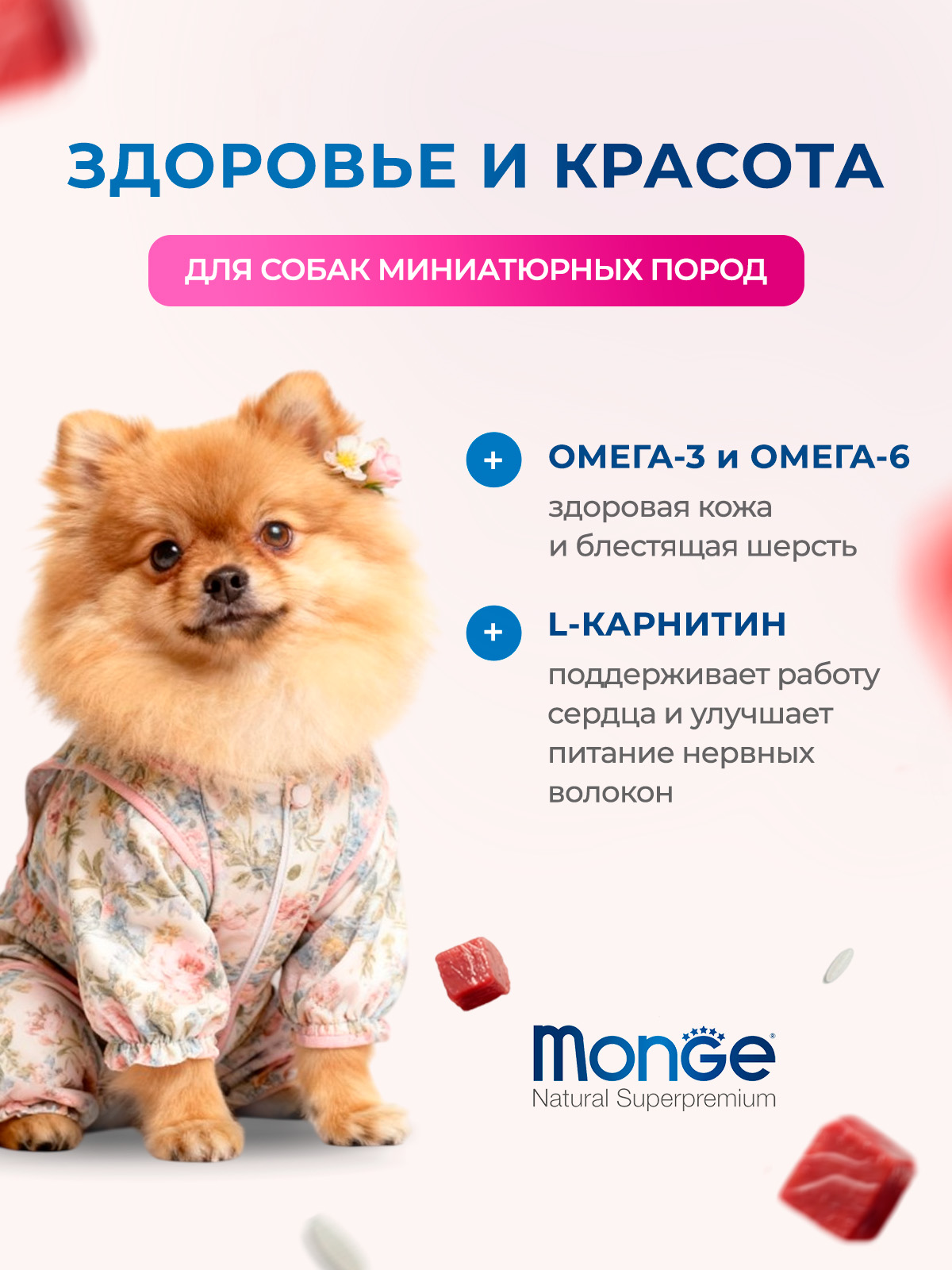 Сухой корм Monge Dog Speciality Line Extra Small для взрослых собак миниатюрных пород ягненок с рисом и картофелем 800 г