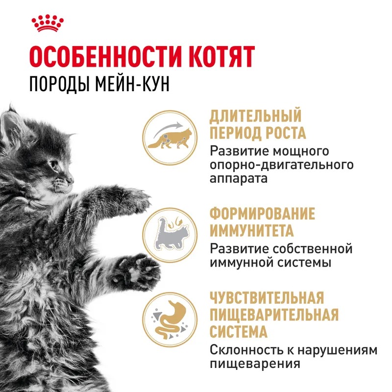 Влажный корм Royal Canin Maine Coon Kitten для котят мейн-кунов до 15 мес. мелкие кусочки в соусе 85гр
