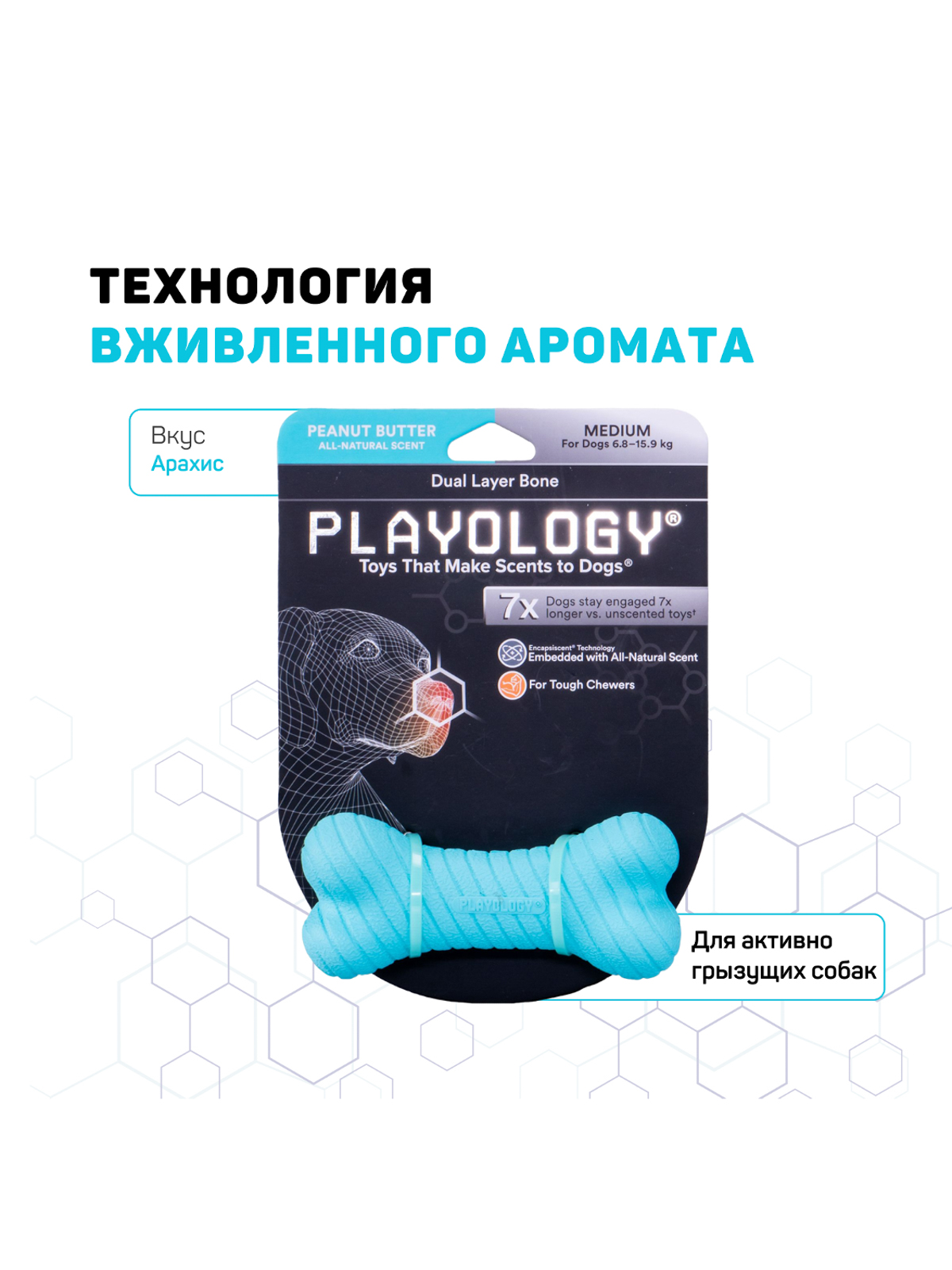 Playology двухслойная жевательная косточка DUAL LAYER BONE для собак мелких пород с ароматом арахиса, маленькая, цвет голубой