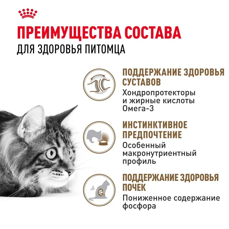 Royal Canin Ageing 12+ Влажный корм для стареющих кошек в возрасте старше 12 лет, мелкие кусочки в желе, 85гр